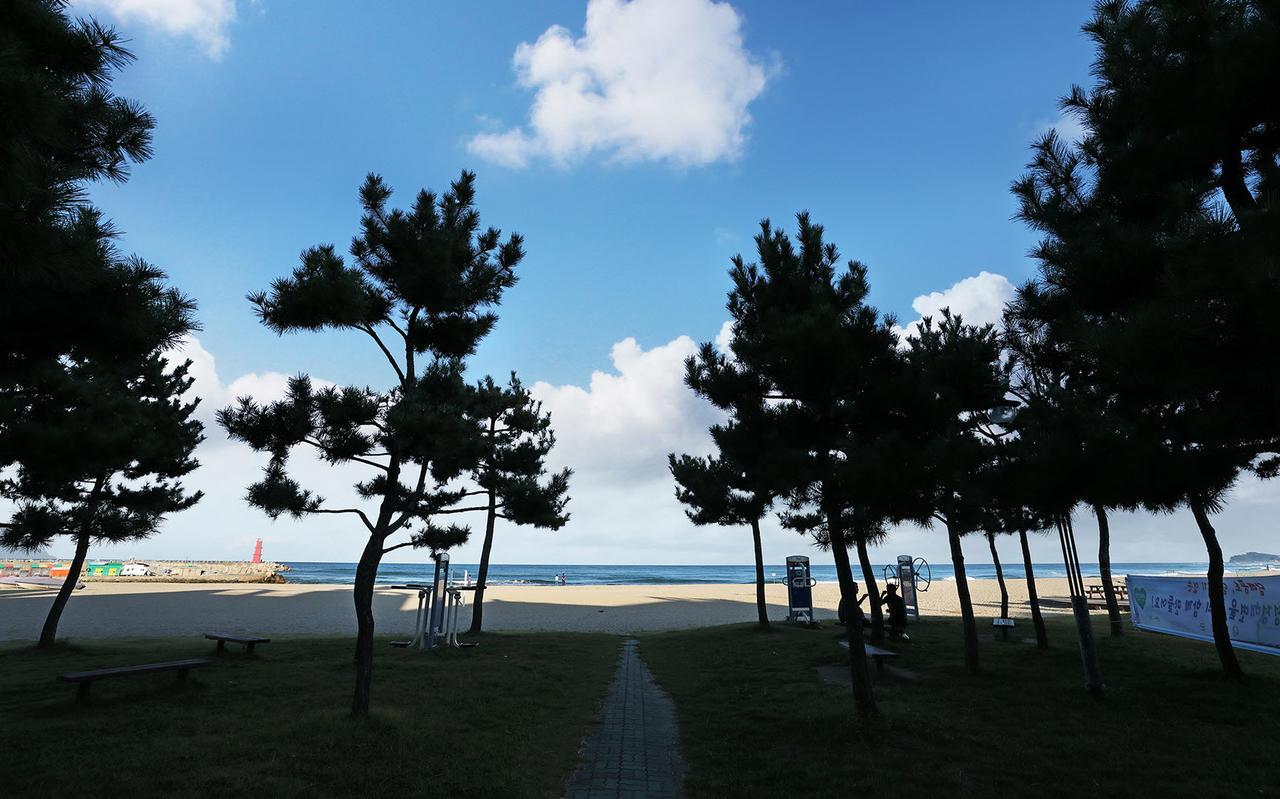 Naksan World Beach Yangyang Bagian luar foto